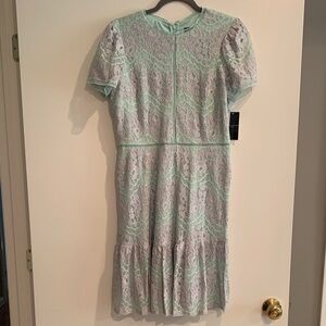 Tahari Mint Green and Light Pink Lace Midi Dress